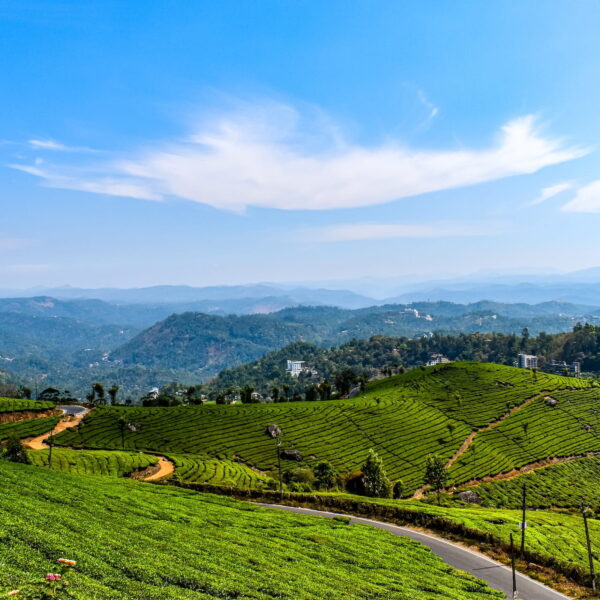 Munnar Alleppey Tour Packages From Kerala