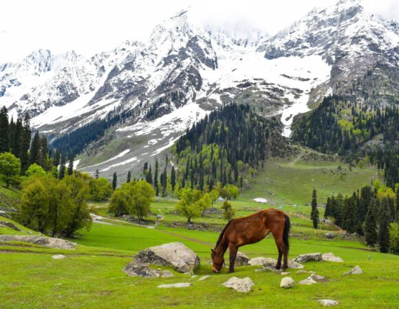 Coolest Kashmir Tour Packages From Kerala